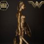 Wonder Woman Training Costume Gold