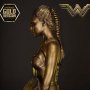 Wonder Woman Training Costume Gold
