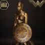 Wonder Woman: Wonder Woman Training Costume Gold