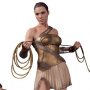 Wonder Woman: Wonder Woman Training Outfit