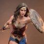 Wonder Woman WB 100 (Hot Toys)