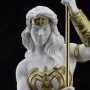 Wonder Woman Princess Of Themyscira