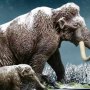 Woolly Mammoth 2.0 Winter Wonders Of Wild Series