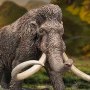 Woolly Mammoth 2.0 Wonders Of Wild Series