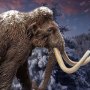 Woolly Mammoth Wonders Of Wild Series