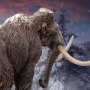 Woolly Mammoth Wonders Of Wild Series