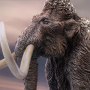 Woolly Mammoth Wonders Of Wild Series