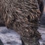 Woolly Mammoth Wonders Of Wild Series