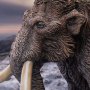Woolly Mammoth Wonders Of Wild Series