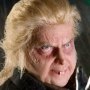 Wormtail Peter Pettigrew Deluxe