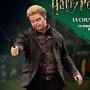 Wormtail Peter Pettigrew Deluxe