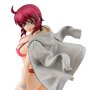 Mobile Suit Gundam Seed Destiny: Lunamaria Hawke Swim Suit GGG