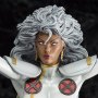 X-Men Danger Room Session - Storm