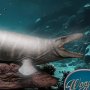 Mosasaurus Wonders Of Wild Series NX
