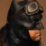 Batman Knightmare