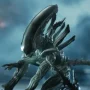 Alien: Xenomorph