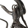 Xenomorph