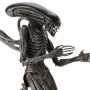 Xenomorph