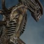 Xenomorph