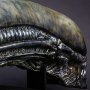 Xenomorph Head