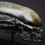 Xenomorph Head