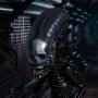 Xenomorph Mezco Designer Series Deluxe