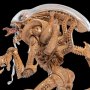 Xenomorph Mini Epics (SDCC 2019)