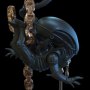 Xenomorph Q-Fig