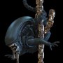Aliens: Xenomorph Q-Fig