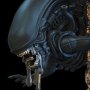 Xenomorph Q-Fig