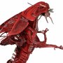 Xenomorph Queen Red