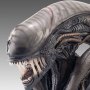 Alien Romulus: Xenomorph Scorched