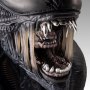 Xenomorph Scorched
