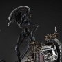 Alien-Romulus: Xenomorph Scorched