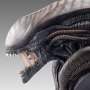 Xenomorph Scorched