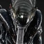 Xenomorph Scorched Deluxe Bonus Edition