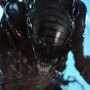 Xenomorph Scorched Deluxe