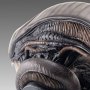Xenomorph Scorched