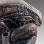 Xenomorph Scorched