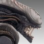 Xenomorph Scorched