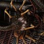 Xenomorph Scorched Deluxe Bonus Edition