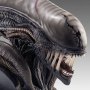Xenomorph Scorched