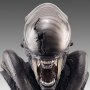 Xenomorph Scorched