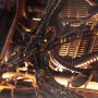 Xenomorph Scorched