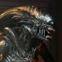 Xenomorph Scorched Ultimate