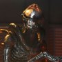 Xenomorph Scorched Ultimate