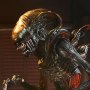 Xenomorph Scorched Ultimate