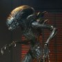 Xenomorph Scorched Ultimate