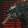 Xenomorph Scorched Ultimate