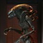 Xenomorph Scorched Ultimate